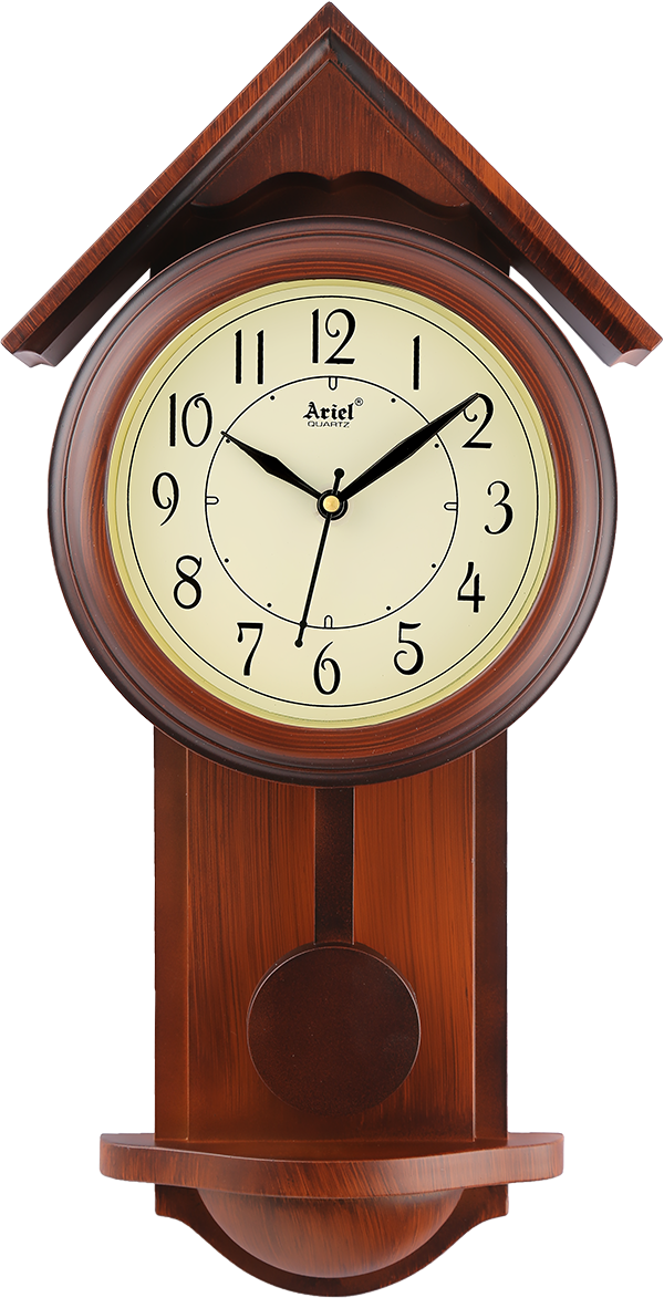 A202 Pendulum Designer Wall Clock