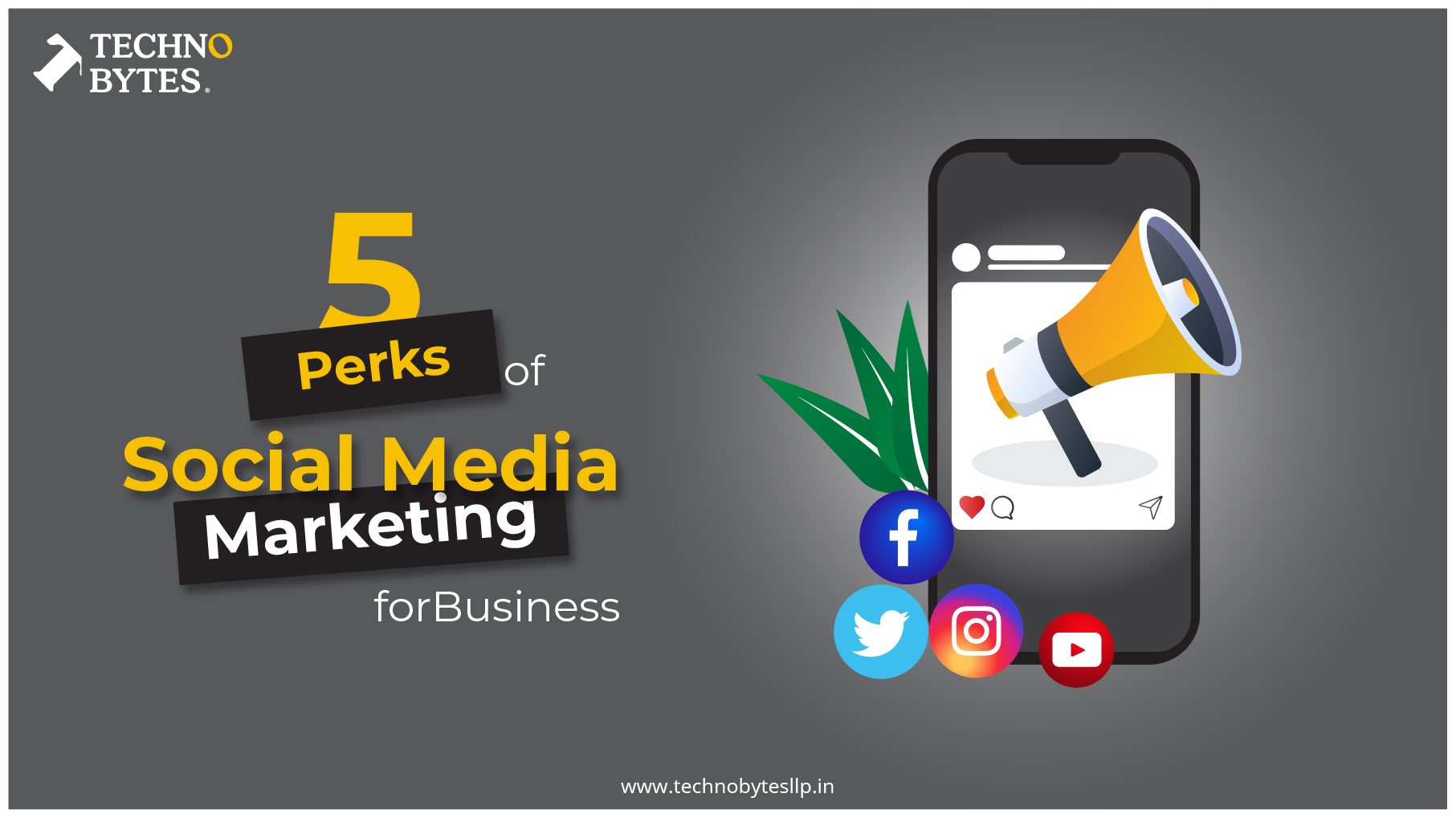 5 Perks of Social Media Marketing For Business